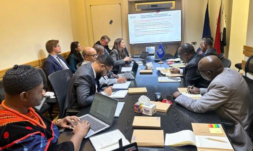  The Republic of South Sudan at the Ministerial Meeting in Cairo, Egypt